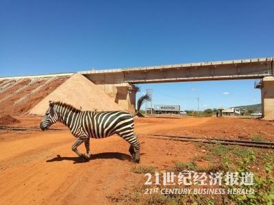 1496201011244048.jpg 539372747.jpg