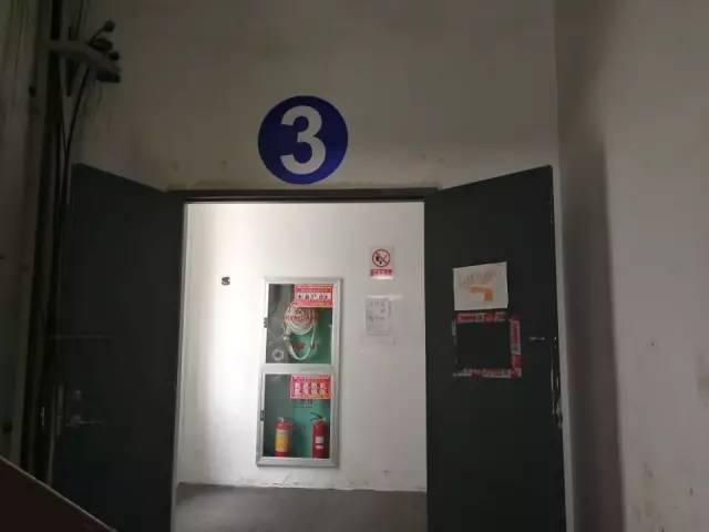 1496819526304718.jpg 14.jpg