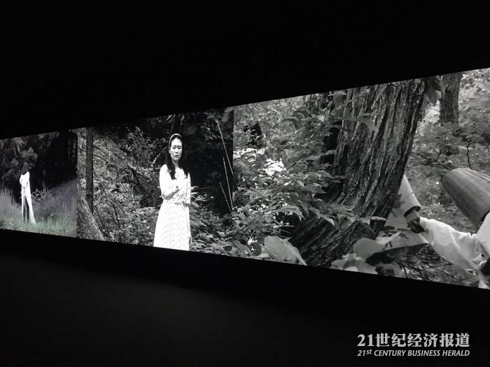 朴赞景，Citizen's Forest .jpg