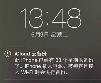 1497831079982130.jpg 15.jpg