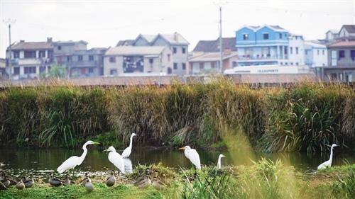 1498860674644956.jpg 塔那那利佛:奇异海岛的矛盾与和谐2.jpg