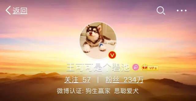 1500687813529315.jpg 11.jpg