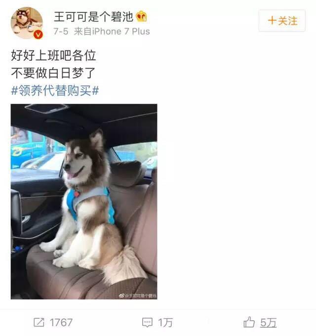 1500687871279608.jpg 12.jpg