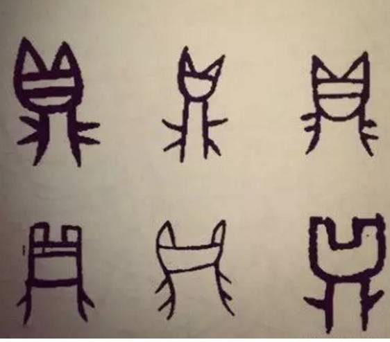 1500699680226426.jpg 1.jpg