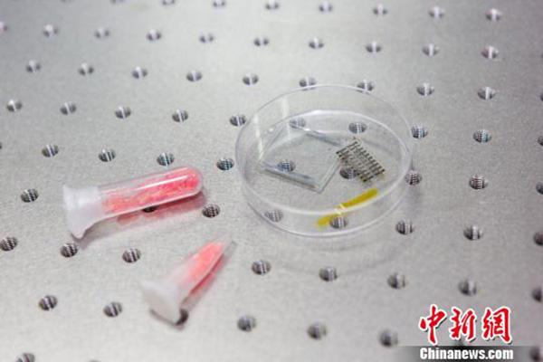 1500781076550982.jpg 1.jpg