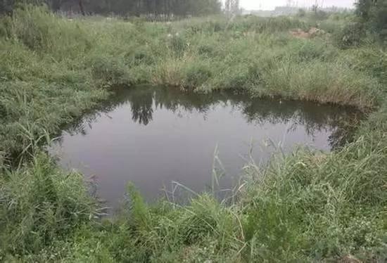 1501760571607689.jpg ae882611ea21c4b68346641129299b79.jpg