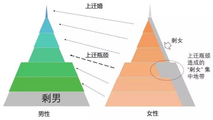 男女择偶金字塔图片