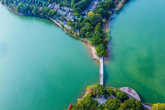 【江蘇天目湖 南山竹海景區】