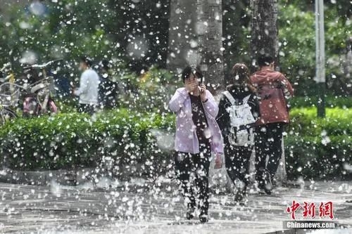 杨柳絮中会存在新冠肺炎病毒吗 专家回应 21财经