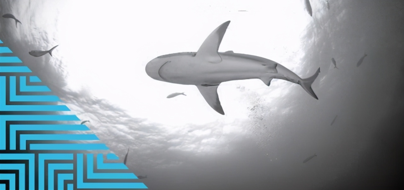 招联消费金融被通报批评背后，“掠夺性放贷”首次入法