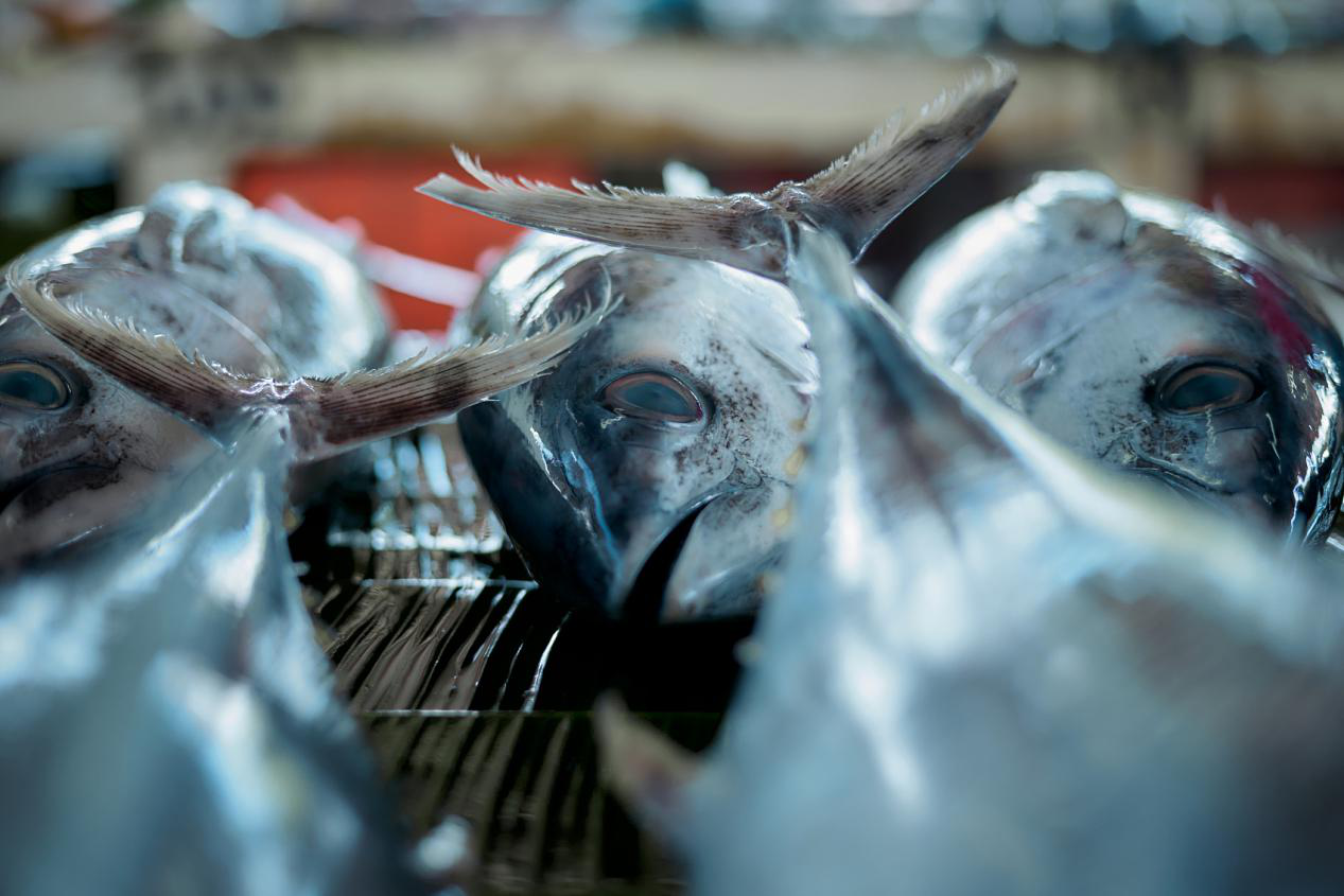 结束19个月的上涨，猪肉价格终于迎来拐点，进口肉价便宜66%