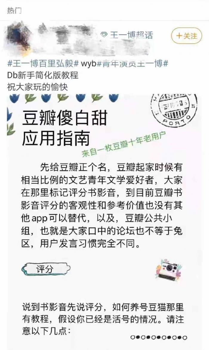 猫 db 白