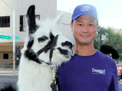 互联网卖鞋20年：中国为什么没有Zappos？