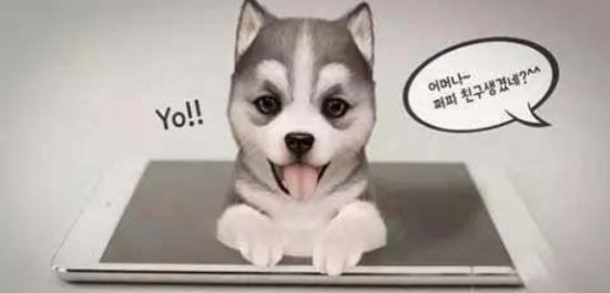 1608979211500095.png 图片25.png