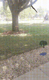 1608979182562684.png 图片23.png