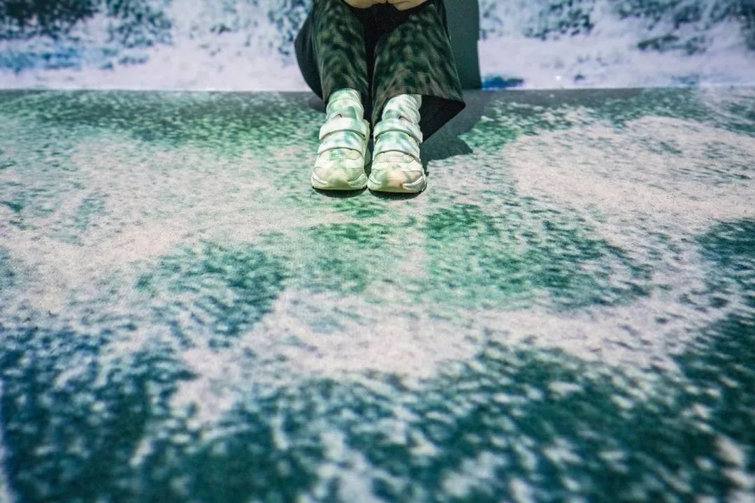 新媒体艺术沉浸式艺术展——永恒的自然