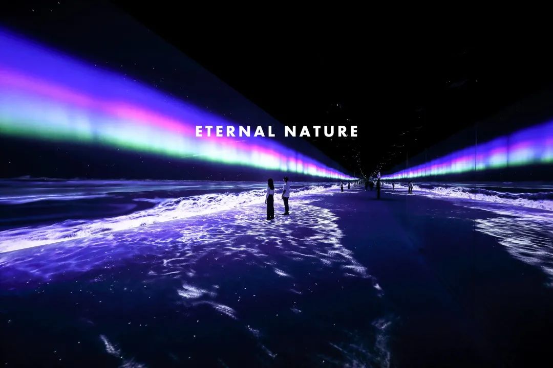 新媒体艺术沉浸式艺术展——永恒的自然