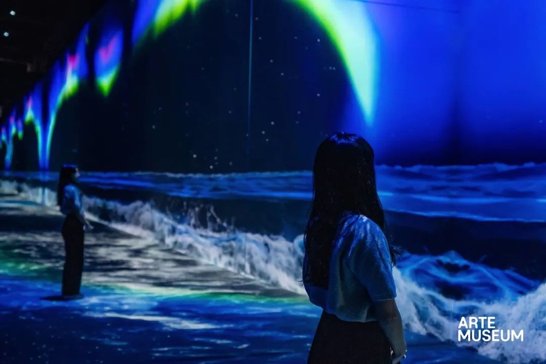 新媒体艺术沉浸式艺术展——永恒的自然