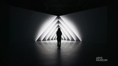 新媒体艺术沉浸式艺术展——永恒的自然