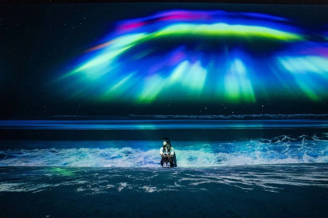 新媒体艺术沉浸式艺术展——永恒的自然