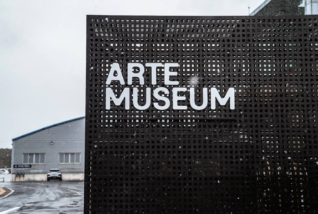 新媒体艺术沉浸式艺术展——永恒的自然