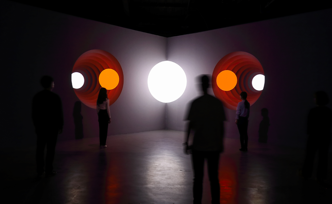 新媒体艺术沉浸式艺术展——永恒的自然