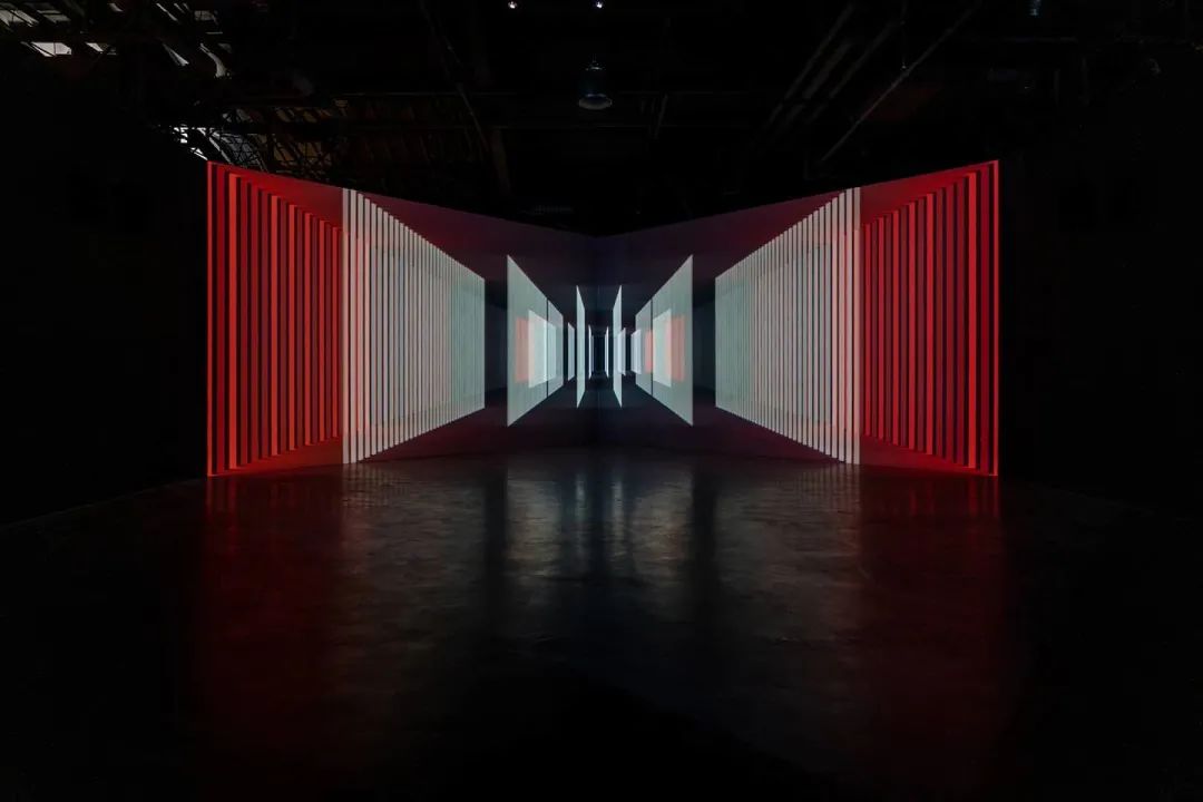 新媒体艺术沉浸式艺术展——永恒的自然