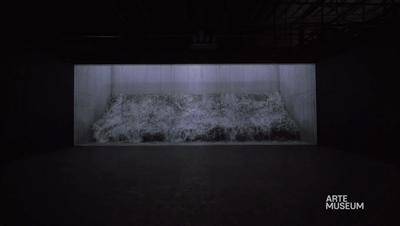 新媒体艺术沉浸式艺术展——永恒的自然