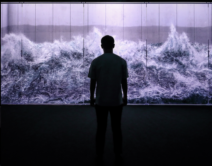 新媒体艺术沉浸式艺术展——永恒的自然