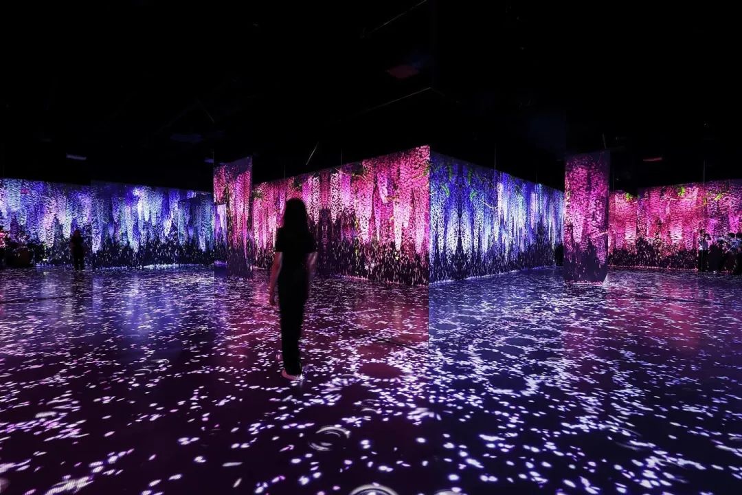 新媒体艺术沉浸式艺术展——永恒的自然