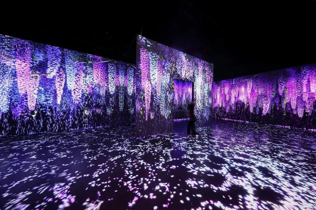 新媒体艺术沉浸式艺术展——永恒的自然