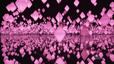 新媒体艺术沉浸式艺术展——永恒的自然