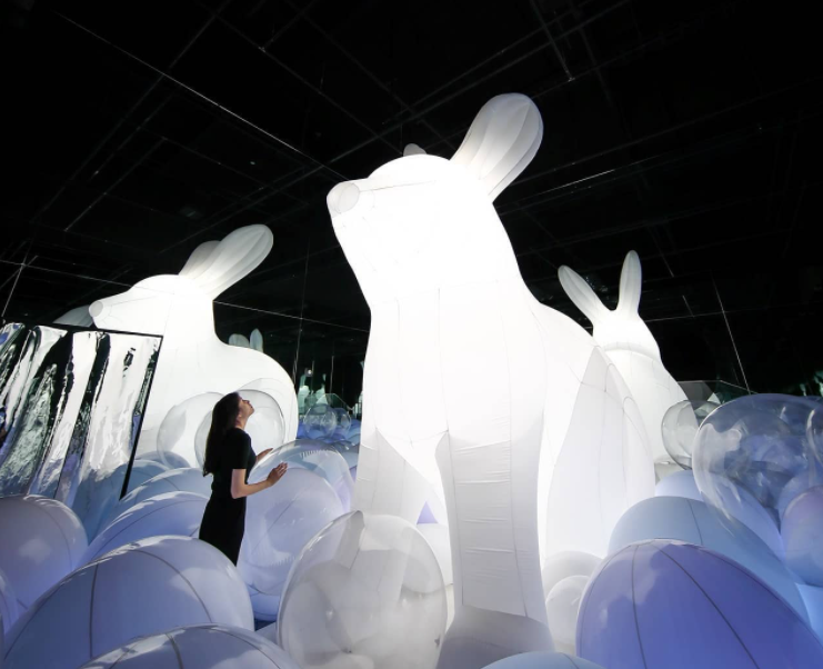 新媒体艺术沉浸式艺术展——永恒的自然