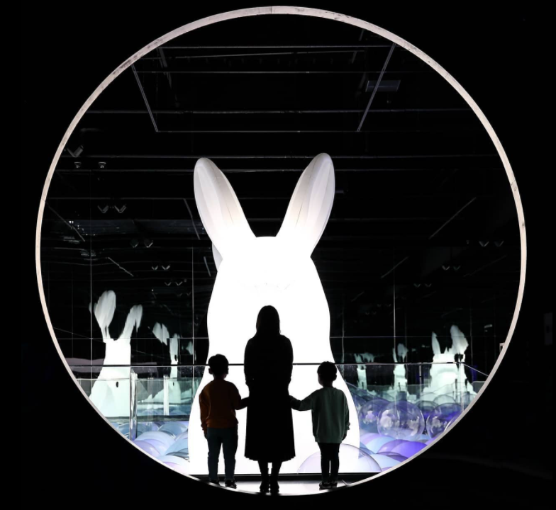 新媒体艺术沉浸式艺术展——永恒的自然