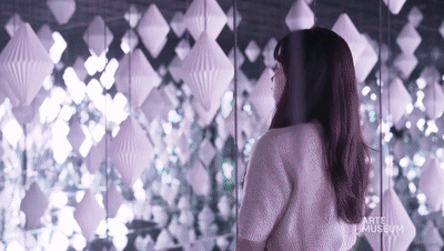 新媒体艺术沉浸式艺术展——永恒的自然