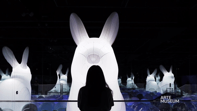 新媒体艺术沉浸式艺术展——永恒的自然