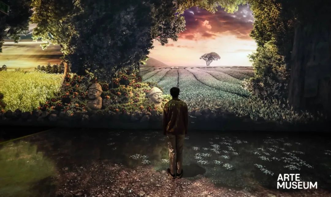 新媒体艺术沉浸式艺术展——永恒的自然