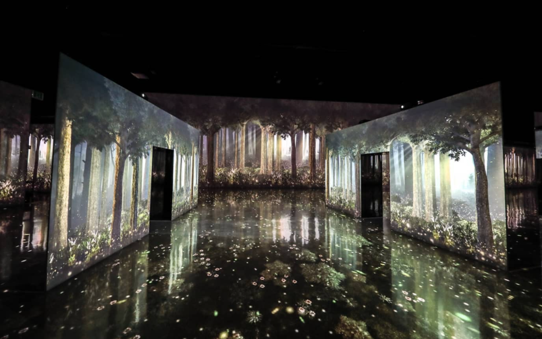 新媒体艺术沉浸式艺术展——永恒的自然