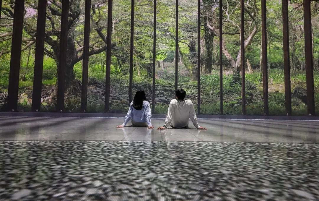 新媒体艺术沉浸式艺术展——永恒的自然