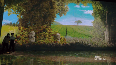 新媒体艺术沉浸式艺术展——永恒的自然