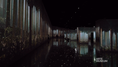 新媒体艺术沉浸式艺术展——永恒的自然