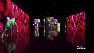 新媒体艺术沉浸式艺术展——永恒的自然