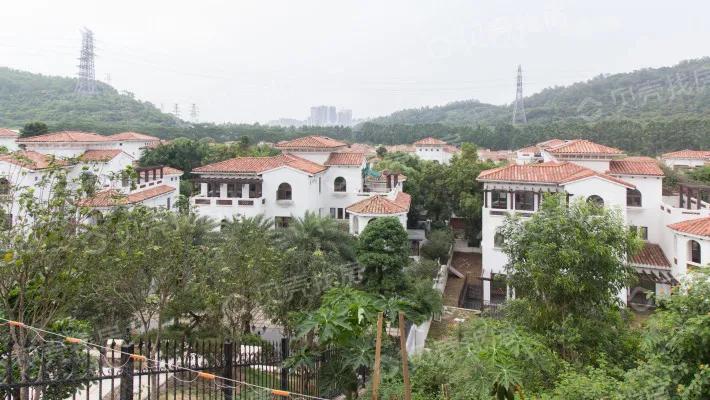 深圳房价最贵60万/平？快别瞎说了