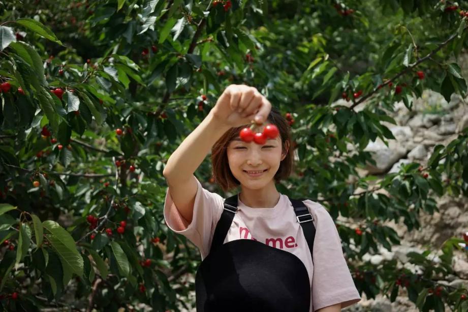 年度最大骗局：被中国人捧起的超级网红，终于跌下神坛