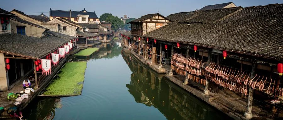 客流收入双减半，春节旅游复苏势头显现