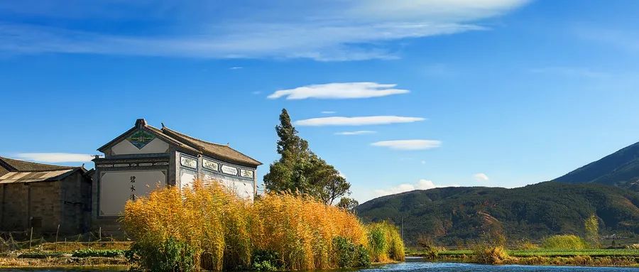 客流收入双减半，春节旅游复苏势头显现