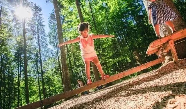 国外感官公园教你如何调动人的五感打造沉浸式体验