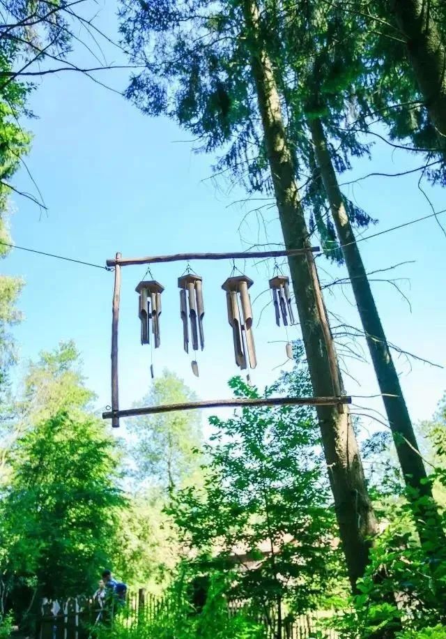 国外感官公园教你如何调动人的五感打造沉浸式体验