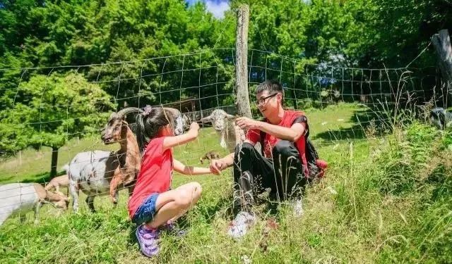 国外感官公园教你如何调动人的五感打造沉浸式体验