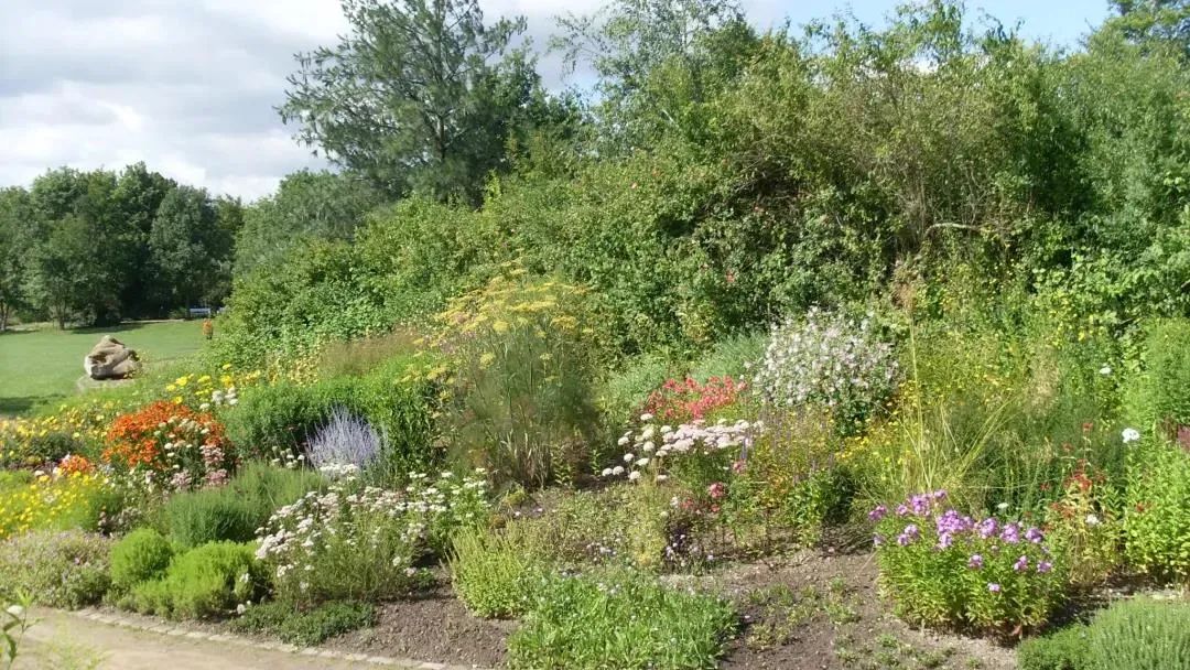 国外感官公园教你如何调动人的五感打造沉浸式体验